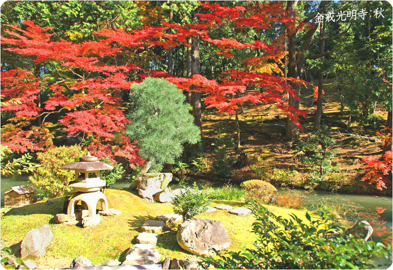 黒谷紅葉-2